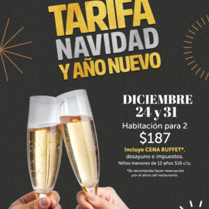 Tarifa Navidad y Año Nuevo